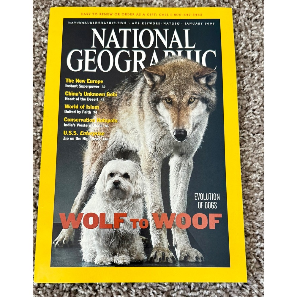 National Geographic Magazine January 2002 Wolf to Woof Evolution of Dogs Yellow